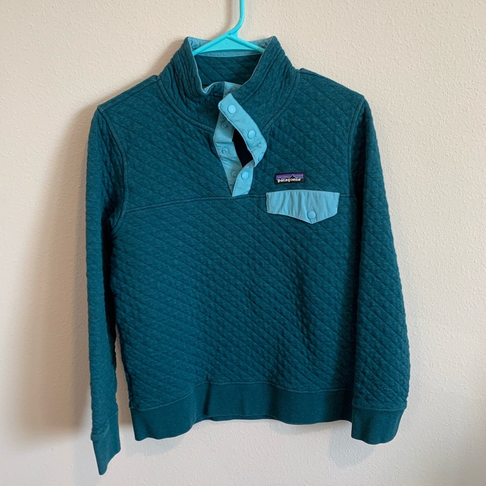 Patagonia Quarter Button Up